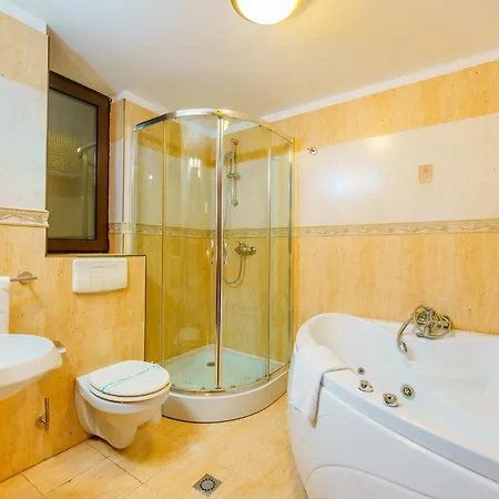 Hotel Crisana Arad Exterior photo